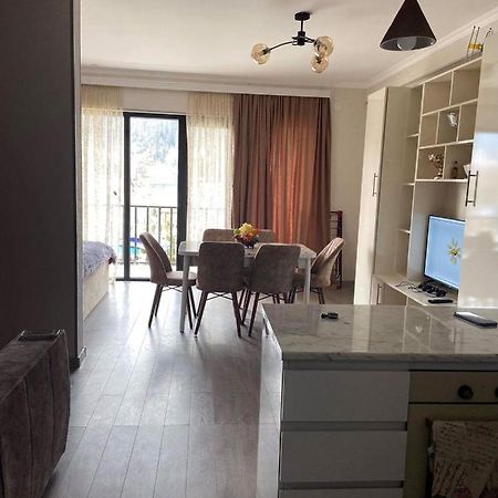 Vitali Apartment Borjomi Exterior photo